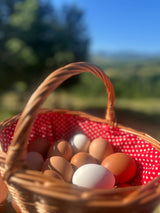 Fresh Free Range Eggs (20psc)